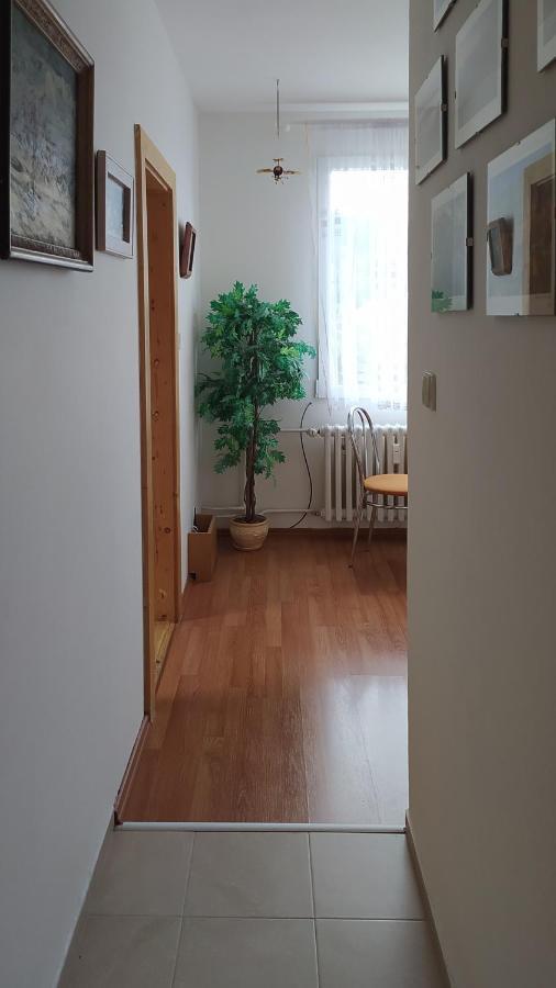 Apartman V Srní Buitenkant foto