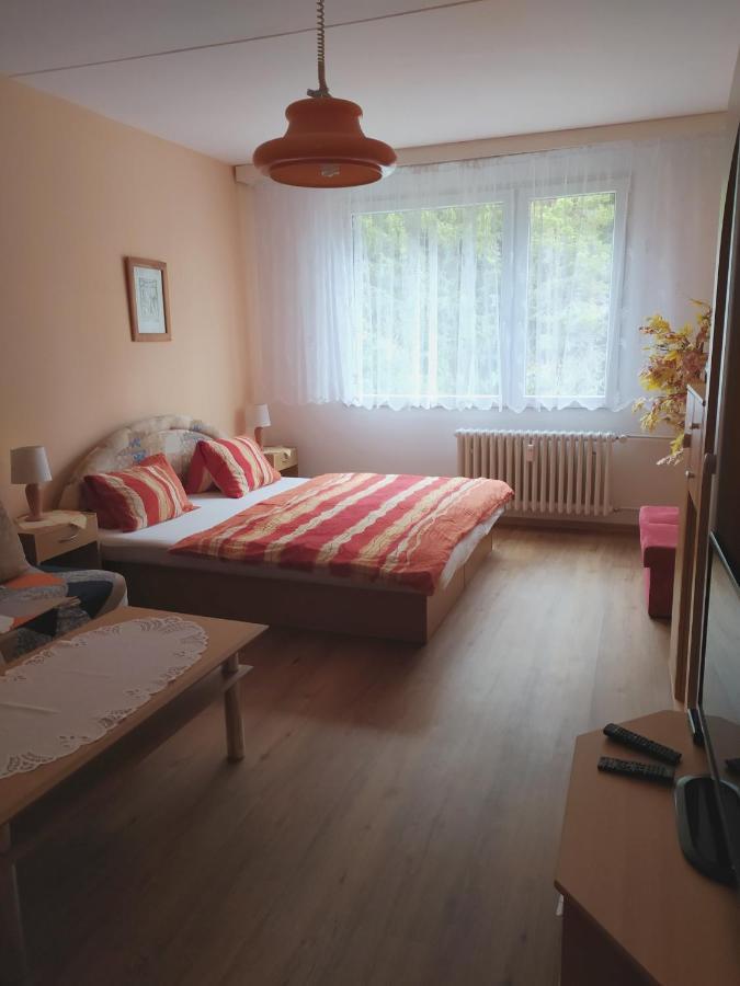Apartman V Srní Buitenkant foto