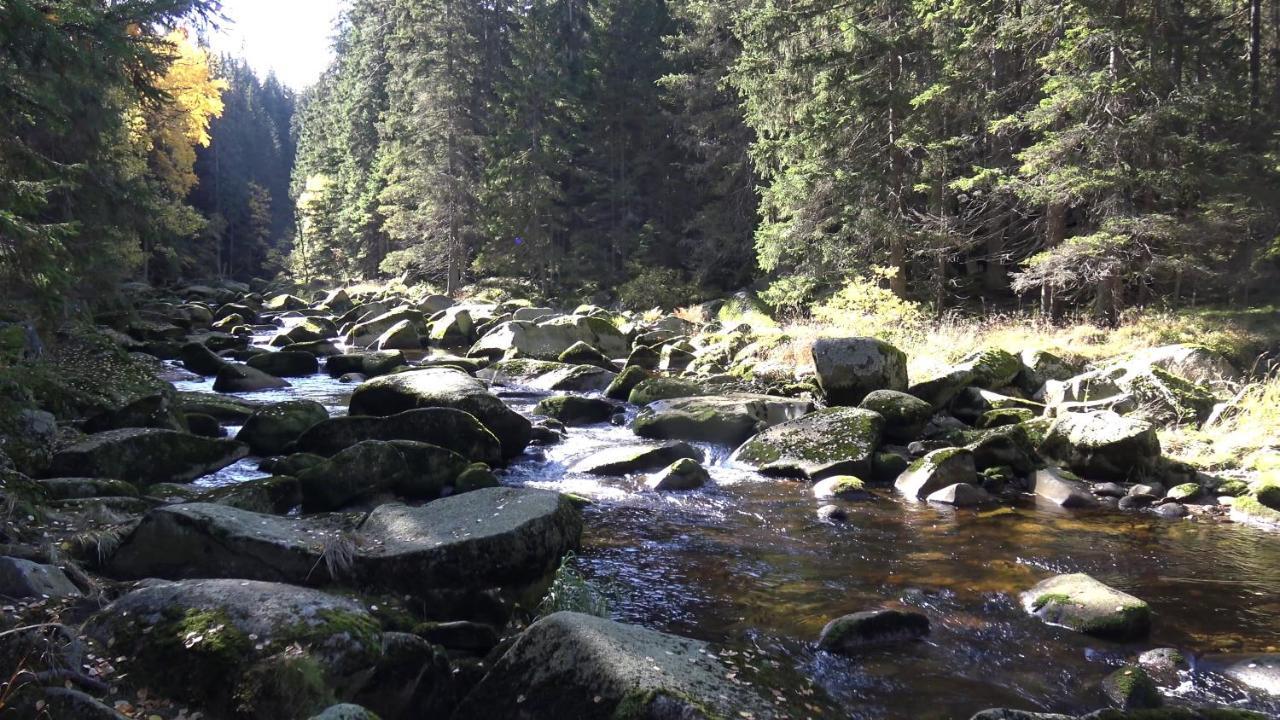 Apartman V Srní Buitenkant foto